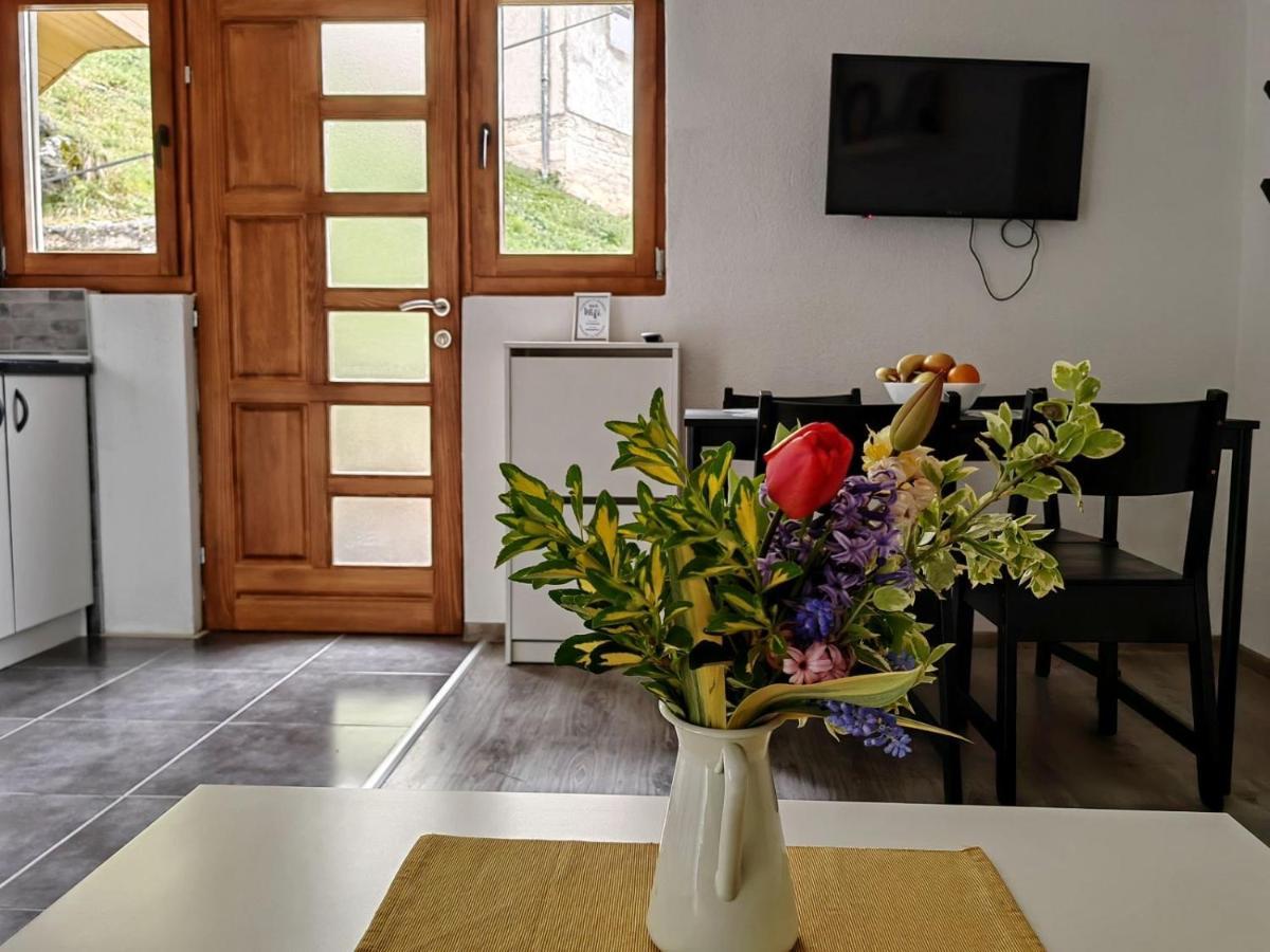 Apartamento Ive Andrica 3 Višegrad Exterior foto